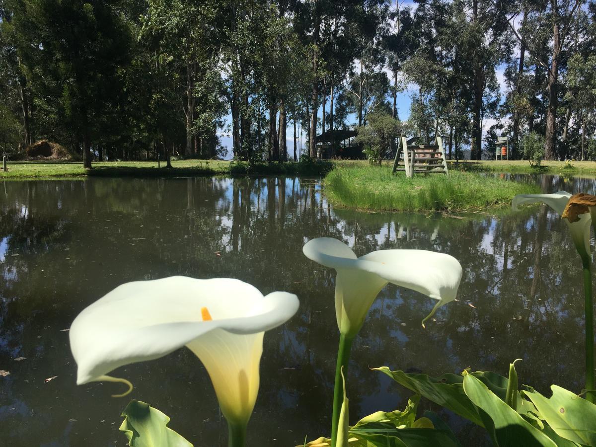 Hacienda Las Cuevas Terra Lodge Pifo Екстериор снимка